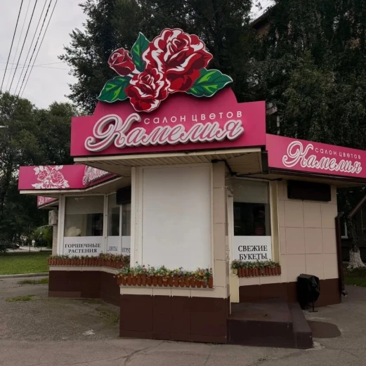 О компании Камелия